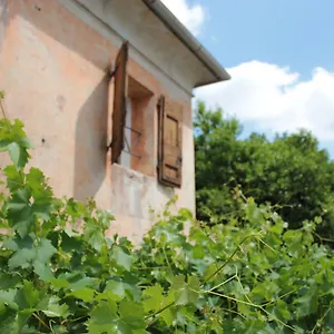 Vigna Casa vacanze